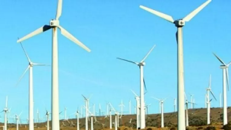 Agentia pentru Protectia Mediului Constanta autorizeaza "pe blat". Proiecte de constructie a unor parcuri eoliene, demarate cu incalcarea legii