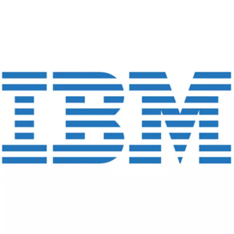 Concedieri masive la IBM?
