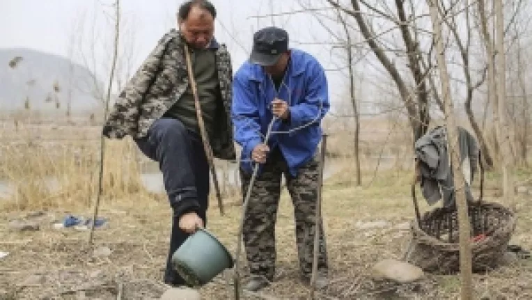 Doi oameni, unul orb si celalalt fara maini, au plantat 10.000 de pomi!