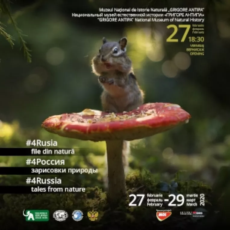 Expozitia Rusia - file din natura, la Muzeul Antipa