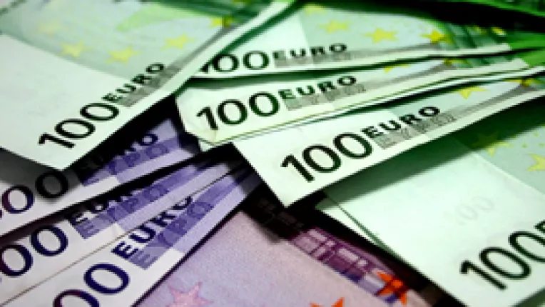 Finantistii cred ca ar fi un dezastru daca pentru un euro se vor plati mai mult de 4 lei