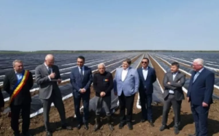 Franz Josef Jakobs din Germania a investit 1 milion de euro intr-o plantatie de sparanghel, in comuna Baneasa din judetul Giurgiu