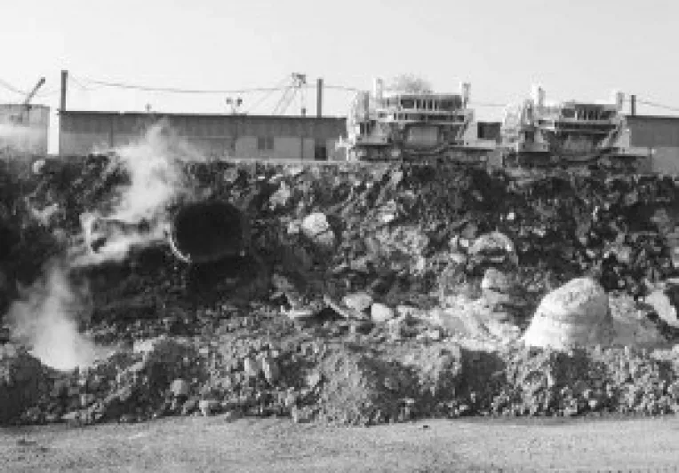 Gunoaiele trebuie "tratate" dupa model european