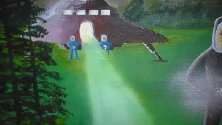 Intalnire de gradul 3 intr-o padure din nordul Romaniei, la frontiera cu Ucraina