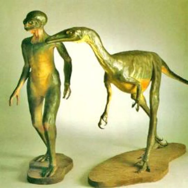 Intalniri bizare cu reptilieni - rasa umanoida extraterestra cu caracteristici de reptila  (3)