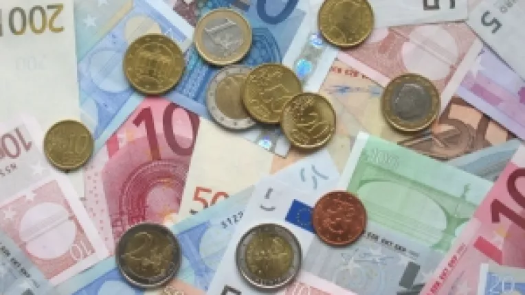 Leul a fost ingenunchiat de euro dis-de-dimineata