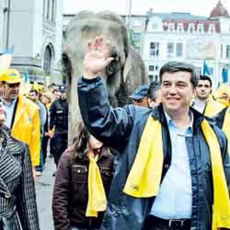 Manea vrea sa intre in Primaria Constanta calare pe elefant