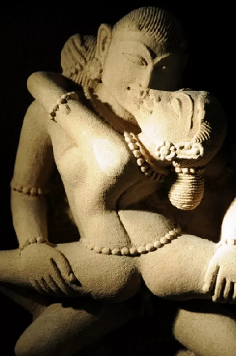 Neotalibanii de la CNA interzic erotismul: Singura televiziune XXX din Romania nu a primit licenta!