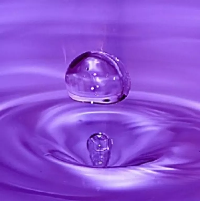 O zi fara Basescu: Iresponsabil, grobian, populist si gretos