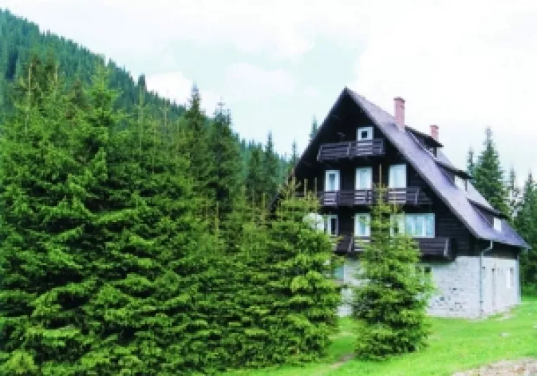 Parcurile naturale ale Romsilva vor putea accesa fonduri UE