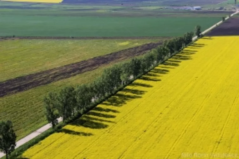 Traditia populara se repeta: de Paste avem aceeasi vreme ca de Florii