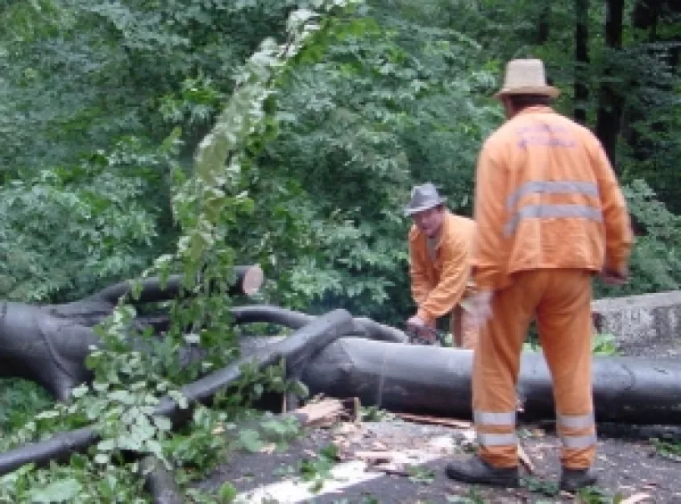 Un nou sistem de control al firmelor, la Cluj